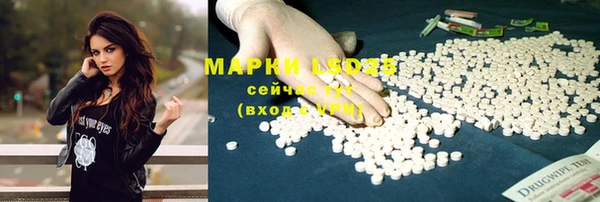 PSILOCYBIN Алексин