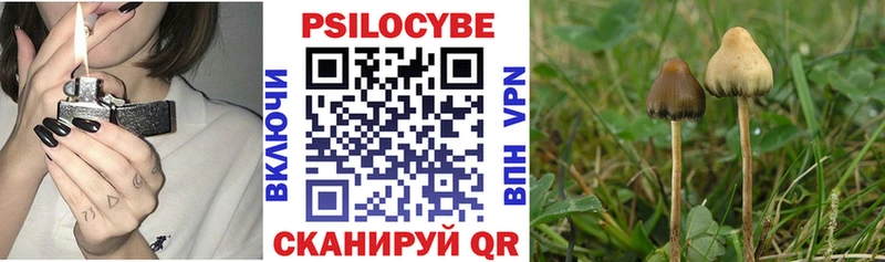 закладка  Лагань  Псилоцибиновые грибы прущие грибы 